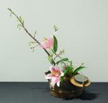 46 - invitation to leave your comments.jpg 3.4K